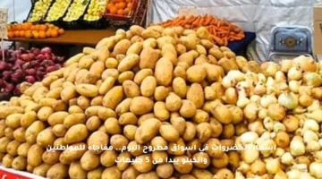 أسعار الخضروات في أسواق مطروح اليوم.. مفاجأة للمواطنين والكيلو يبدأ من 5 جنيهات